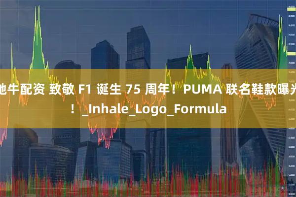 驰牛配资 致敬 F1 诞生 75 周年！PUMA 联名鞋款曝光！_Inhale_Logo_Formula