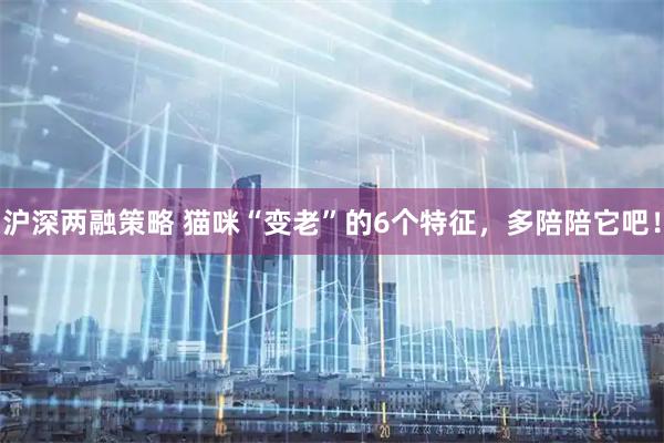 沪深两融策略 猫咪“变老”的6个特征，多陪陪它吧！