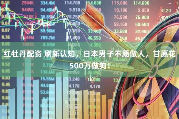 红牡丹配资 刷新认知，日本男子不愿做人，甘愿花500万做狗！